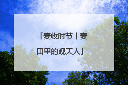 麦收时节丨麦田里的观天人