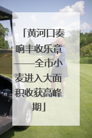 黄河口奏响丰收乐章——全市小麦进入大面积收获高峰期