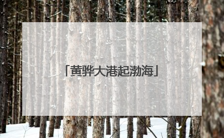 黄骅大港起渤海