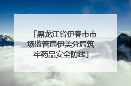 黑龙江省伊春市市场监管局伊美分局筑牢药品安全防线