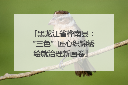 黑龙江省桦南县：“三色”匠心织锦绣 绘就治理新画卷