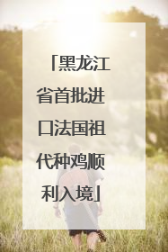 黑龙江省首批进口法国祖代种鸡顺利入境