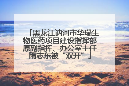 黑龙江讷河市华瑞生物医药项目建设指挥部原副指挥、办公室主任隋志东被“双开”