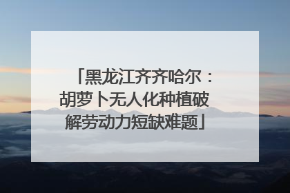 黑龙江齐齐哈尔：胡萝卜无人化种植破解劳动力短缺难题