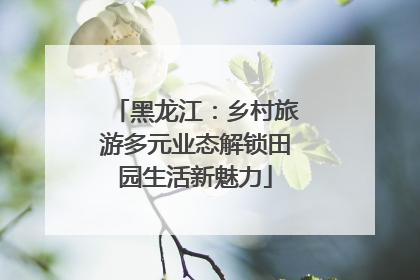 黑龙江：乡村旅游多元业态解锁田园生活新魅力