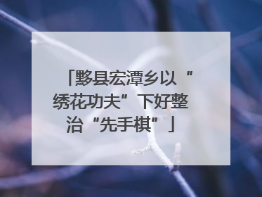 黟县宏潭乡以“绣花功夫”下好整治“先手棋”