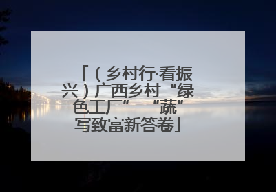 （乡村行·看振兴）广西乡村“绿色工厂” “蔬”写致富新答卷