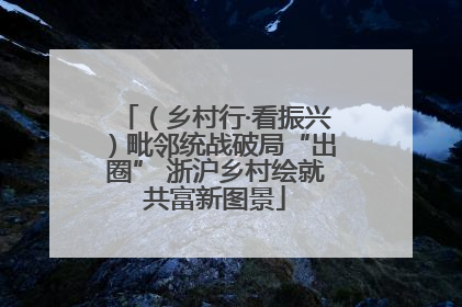（乡村行·看振兴）毗邻统战破局“出圈” 浙沪乡村绘就共富新图景