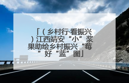 （乡村行·看振兴）江西靖安“小”浆果助绘乡村振兴“莓”好“蓝”图