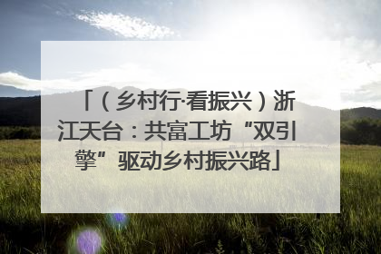 （乡村行·看振兴）浙江天台：共富工坊“双引擎”驱动乡村振兴路