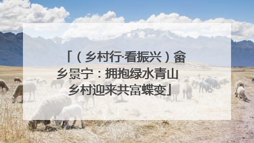 （乡村行·看振兴）畲乡景宁：拥抱绿水青山 乡村迎来共富蝶变