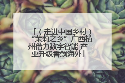 （走进中国乡村）“茉莉之乡”广西横州借力数字智能 产业升级香飘海外