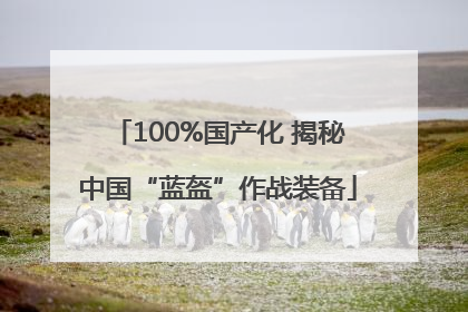 100%国产化 揭秘中国“蓝盔”作战装备