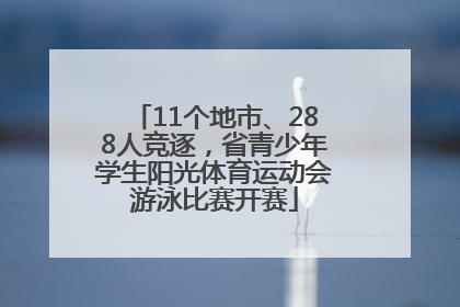 11个地市、288人竞逐，省青少年学生阳光体育运动会游泳比赛开赛