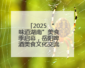 2025 “味道湖南”美食季启幕，岳阳啤酒美食文化交流活动点亮