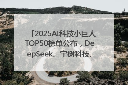 2025AI科技小巨人TOP50榜单公布，DeepSeek、宇树科技、蘑菇车联等企业荣誉上榜