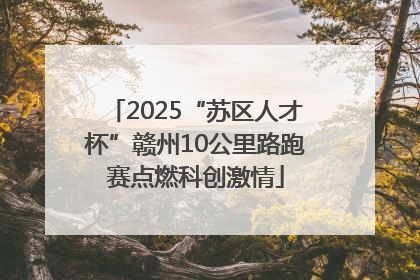 2025“苏区人才杯”赣州10公里路跑赛点燃科创激情