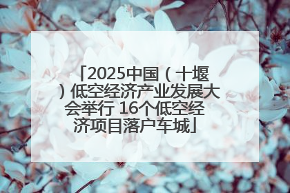 2025中国（十堰）低空经济产业发展大会举行 16个低空经济项目落户车城