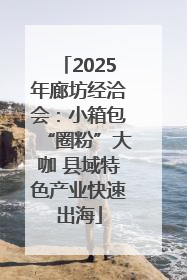 2025年廊坊经洽会：小箱包“圈粉”大咖 县域特色产业快速出海