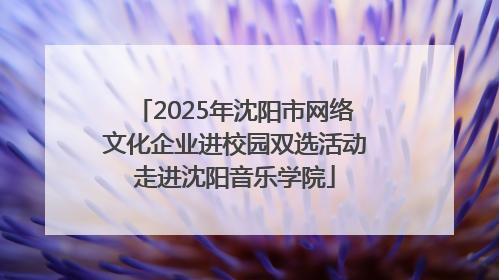 2025年沈阳市网络文化企业进校园双选活动走进沈阳音乐学院
