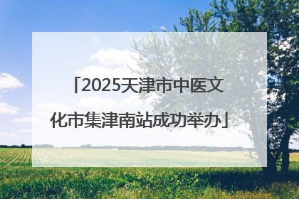 2025天津市中医文化市集津南站成功举办