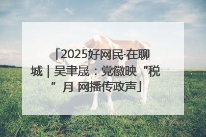 2025好网民·在聊城｜吴聿晟：党徽映“税”月 网播传政声