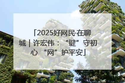 2025好网民·在聊城｜许宏伟：“键”守初心 “网”护平安
