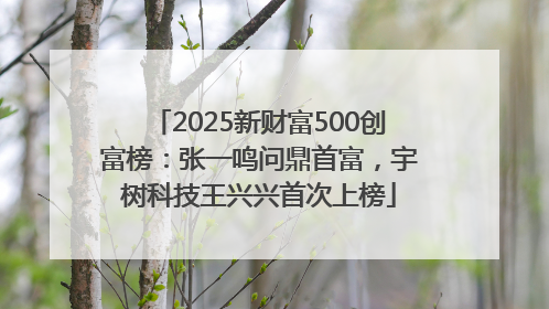 2025新财富500创富榜：张一鸣问鼎首富，宇树科技王兴兴首次上榜