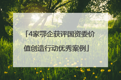 4家鄂企获评国资委价值创造行动优秀案例