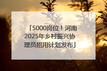 5000岗位！河南2025年乡村振兴协理员招用计划发布