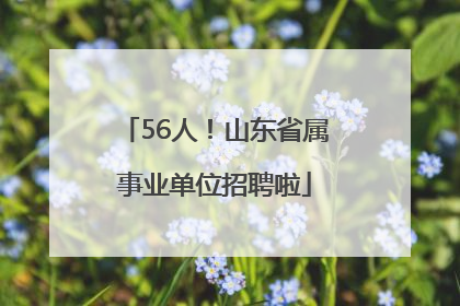 56人！山东省属事业单位招聘啦