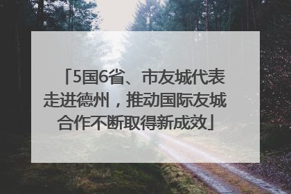 5国6省、市友城代表走进德州，推动国际友城合作不断取得新成效
