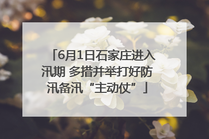 6月1日石家庄进入汛期 多措并举打好防汛备汛“主动仗”