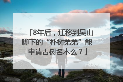 8年后，迁移到吴山脚下的“朴树弟弟”能申请古树名木么？