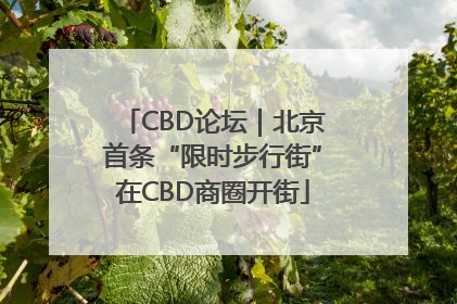 CBD论坛｜北京首条“限时步行街”在CBD商圈开街