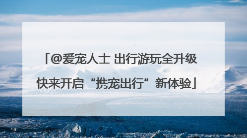 @爱宠人士 出行游玩全升级 快来开启“携宠出行”新体验