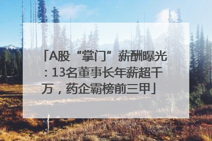 A股“掌门”薪酬曝光：13名董事长年薪超千万，药企霸榜前三甲