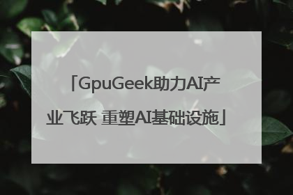 GpuGeek助力AI产业飞跃 重塑AI基础设施