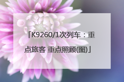 K9260/1次列车：重点旅客 重点照顾(图)