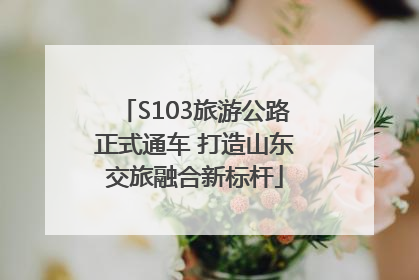 S103旅游公路正式通车 打造山东交旅融合新标杆